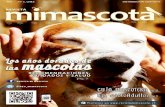 Revista Mimascota nº6 2015, Los años dorados de las mascotas