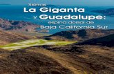 Sierras La Giganta y Guadalupe: espina dorsal de Baja California Sur