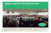 Agrovisión Profesional #86 - Agosto 2015
