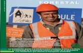 Revista Forestal #3 Agosto 2012