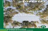 Revista Forestal #7 Diciembre 2013
