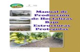 Manual espino obregon parrales (2)