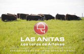 Catálogo Las Anitas de Alfonso 2015