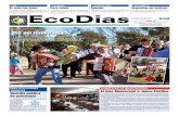 Ecodias 549