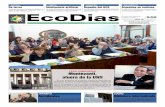 Ecodias 546