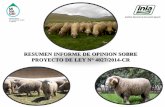 Informe Técnico del INIA respecto al ovino de raza Junín