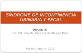 Exposicion sindrome de incontinencia urinaria y fecal