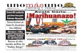5 de Noviembre 2015, Avalo Corte... ¡Marihuanazo!