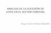 Análisis de la sucesión de leyes en el Sector Forestal