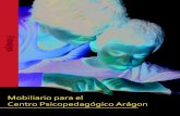 Recepción Centro Psicopedagógico Aragón