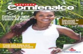 Revista Comfenalco 22 edición