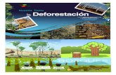 Nuestra tierra: La Deforestación