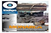 Reporte Indigo: ECOCIDIO MONARCA 4 Diciembre 2015