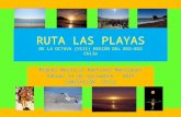 RUTA LAS PLAYAS. Playas de la Octava Región (Chile)
