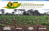 Cigarro Dominicano 124@ Edición, Publicación Propiedad de PIGAT SRL, ®Derechos Reservados ®™ 2016