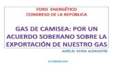 Exposición de Aurelio Ochoa sobre la reexportación ilegal del Gas de Camisea