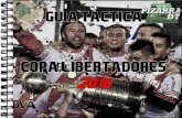 Guía de Copa Libertadores 2016