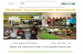 Boletín agropecuario semanal vol iii, no 11