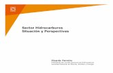 Sector Hidrocarburos Situación y perspectivas - Viernes 15 de febrero del 2013