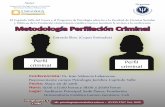 Metodología de la perfilación criminal
