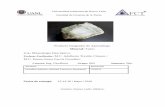 Pia mineralogía descriptiva