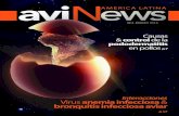 Avinews AL abril 2016 web