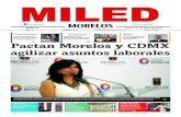 Miled Morelos 27-05-16