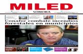 Miled Sonora 07 06 16