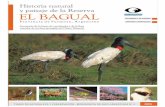 Historia natural y paisaje de la Reserva El Bagual Parte 2
