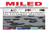 Miled Quintana Roo 25 06 16