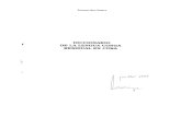 Diccionario de la lengua conga residual en Cuba; 1997