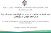 3.1 Presentación OIRSA a Ministros de Salud COMISCA.pdf