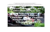 Potencialidad de alimentos en los huertos caseros de la etnia Maya ...