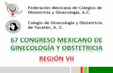 Colegio de Ginecología y Obstetricia de Yucatán, A. C. Federación ...
