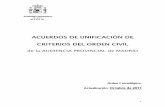 ACUERDOS DE UNIFICACIÓN DE CRITERIOS DEL ORDEN CIVIL