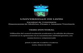 buleria - Universidad de León