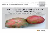 El virus del mosaico del tomate - ToMV