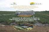Manual de Buenas Prácticas Agrícolas para la producción de piña ...