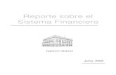 Reporte sobre el Sistema Financiero