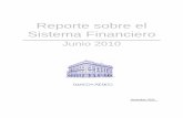 reporte sobre el Sistema Financiero Mexicano