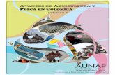 AVANCES DE ACUICULTURA Y PESCA EN COLOMBIA ENER 24