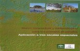 Marco conceptual y metodológico para los paisajes españoles