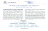 Seguimiento de Origen Microbiano: Caracterización de cuencas e ...