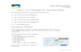TEMA 6. LOS CONTINENTES: ESTUDIO FÍSICO INTRODUCCIÓN ...