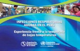 Infecciones respiratorias agudas en el Perú.