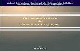 Documento Base de Análisis Curricular (Segunda Edición - Año 2015)