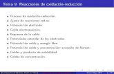 Tema 9: Reacciones de oxidación-reducción