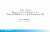 Bacteriemia polimicrobiana por Staphylococcus aureus y ...