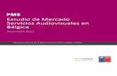 Estudio de Mercado Servicios Audiovisuales en Bélgica
