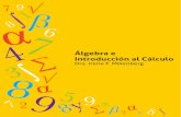 Álgebra e Introducción al Cálculo